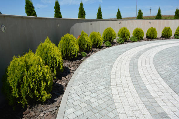 Reasons to Select Us for Your Driveway Paving Requirements in Crockett, TX